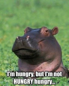 hungry hungry hippos