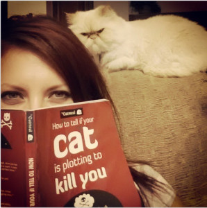 killer kittehs