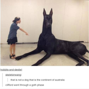 one big ass dog