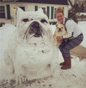ultimate snowdog