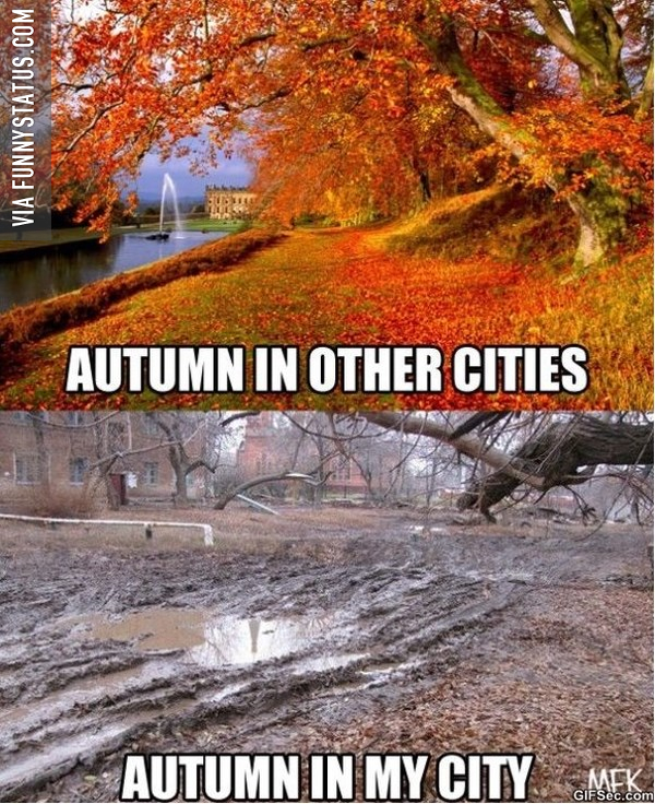 autumn meme