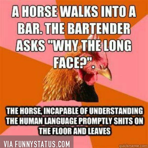 a horse walks into a bar