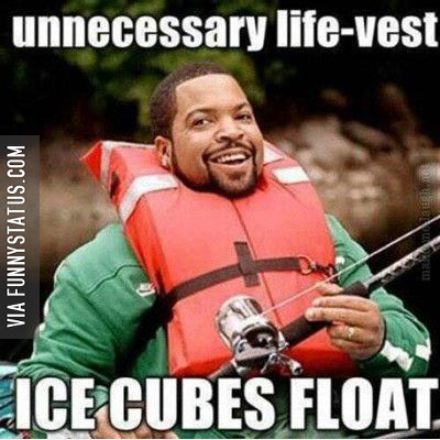 ice cubes float no need for life vest