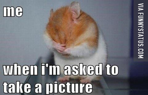 me when im asked to take a picture