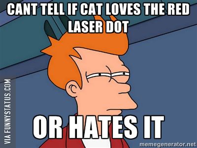 cant tell if cat hates or loves lazer