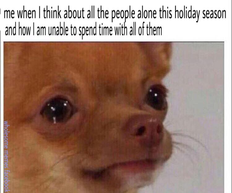 49 Cute, Wholesome Memes to Share with Your Loved Ones