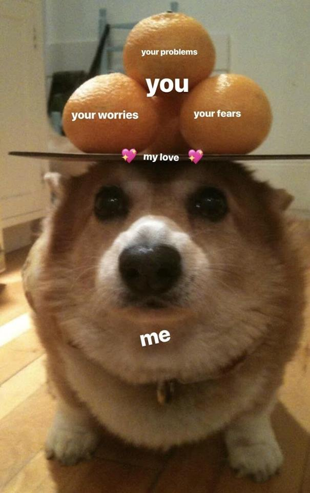 49 Cute, Wholesome Memes to Share with Your Loved Ones