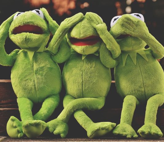 three funny frogs