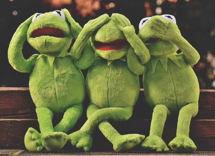 three funny frogs