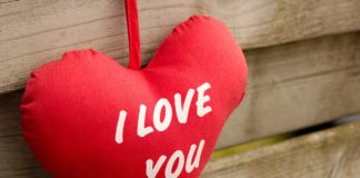 red heart pillow with i love you texts