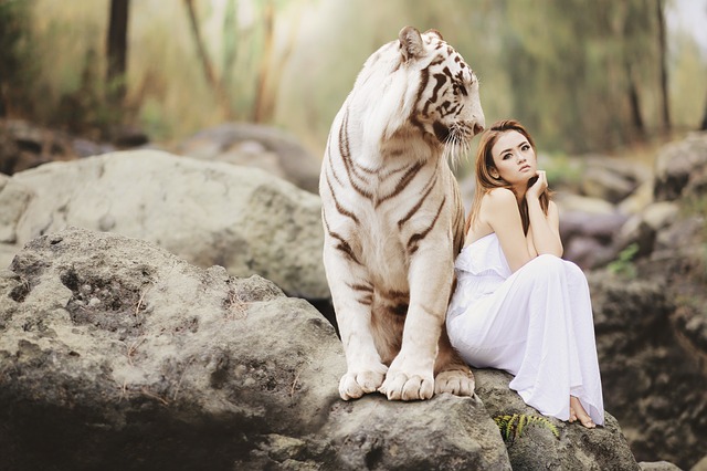woman and a tiger