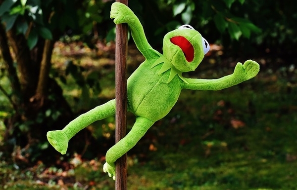 kermit the frog doing pole dance